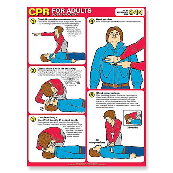 CPR for Adults Chart