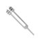Tuning Fork with Fixed Weight